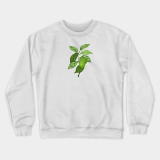 Calabrian Bergamot Botanical Crewneck Sweatshirt